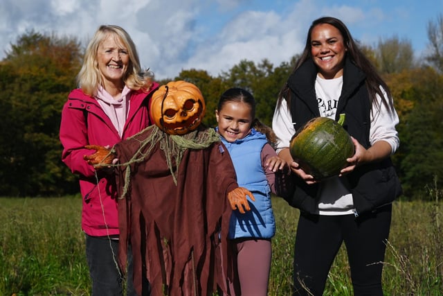 Family fun at the Winstanley Park Pumpkin Patch.