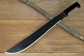 The 17-year-old admitted to magistrates that he threatened a man with a machete