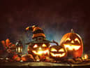 What do you love most about autumn?
