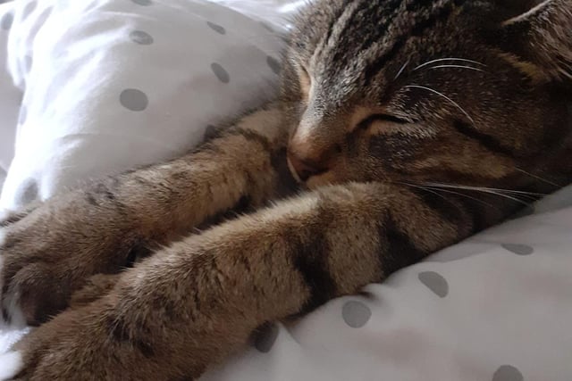 Tigger