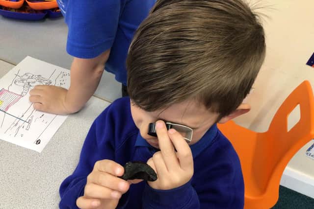It was hoped the hands-on lessons would inspire pupils to become astronomers