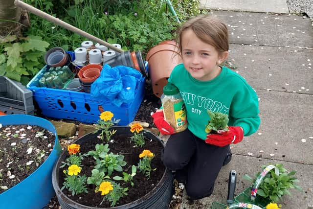 Hindley Green Junior Volunteers won two RHS North West in Bloom awards for their work on the allotment