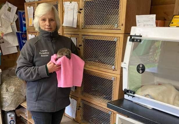 Irene Thomson from Lowton Hedgehog Rescue and chair of LENDF