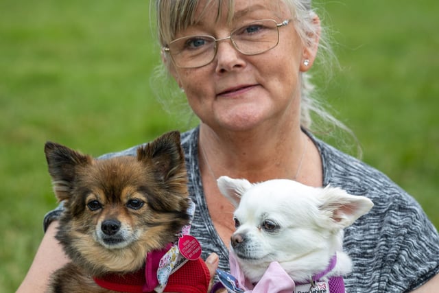 Makants Greyhound Rescue dog show at Astley St Park. Gaynor Kelly with Molly and Lola.