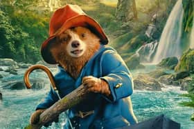 Paddington in Peru