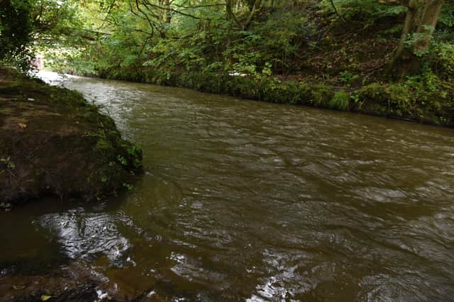 The work will improve 184km of rivers in the North West