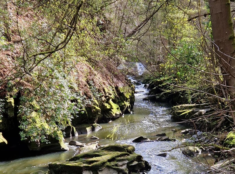 The walk through the woods takes in some breathtaking scenery
