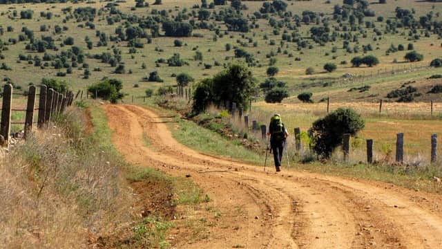 .Bernie will face tough conditions during the walk