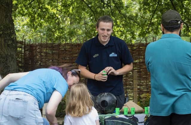 Kids go free this Wednesday at Knowsley Safari