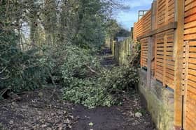 A footpath in Orrell is blocked by a fallen tree