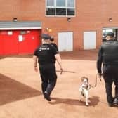 Police and a sniffer dog at Leigh Sports Village