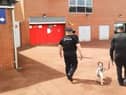 Police and a sniffer dog at Leigh Sports Village