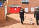 Police and a sniffer dog at Leigh Sports Village