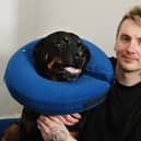 Jack Farnworth has launched a fundraiser to help pay towards vets' bills for his beloved Rottweiler Boston.