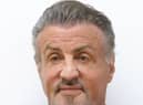 Sylvester Stallone broke water regulations (photo: Getty Images)