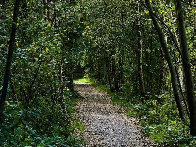 Amberswood is a popular green space for many