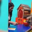 Culture Secretary Lisa Nandy meets Hacker T Dog