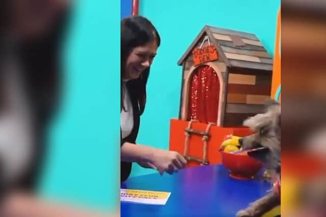 Culture Secretary Lisa Nandy meets Hacker T Dog