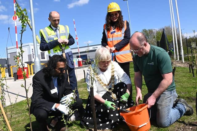 The Mayor of Wigan Coun Marie Morgan planting seeds during the official opening