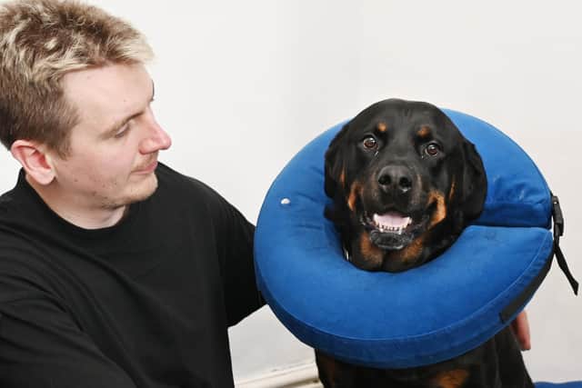 Jack Farnworth with his Rottweiler Boston following surgery.