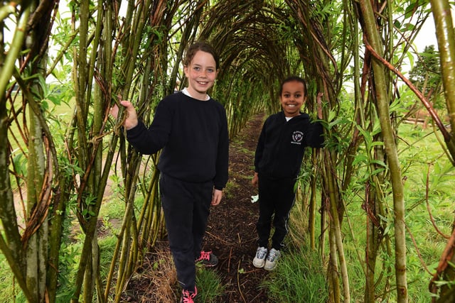 St Joseph's Primary love to learn outdoors and are very lucky to have their own Forest School area and qualified Forest School leaders.