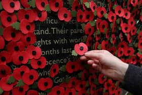 A person holds a poppy as they look at a wall made of 10,000 remembrance poppies following the RBL's Poppy Appeal 2022 (photo: Getty Images)