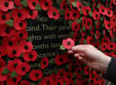 A person holds a poppy as they look at a wall made of 10,000 remembrance poppies following the RBL's Poppy Appeal 2022 (photo: Getty Images)