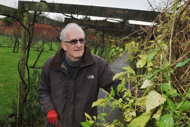Dennis Holland takes a look at the plants at Haigh Woodland Park's walled kitchen garden