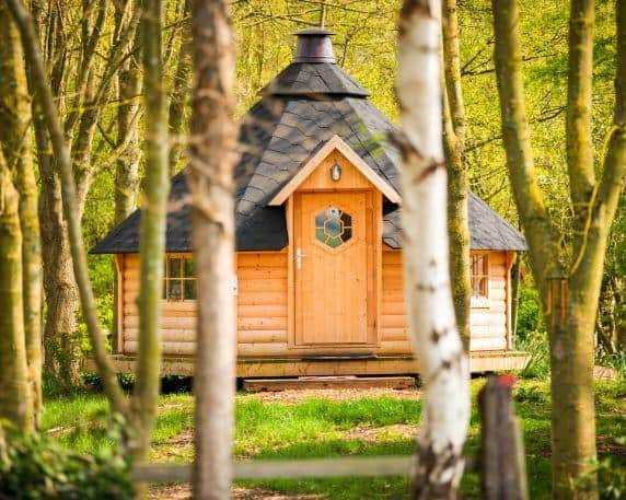 Nestled in the trees is the barbecue cabin