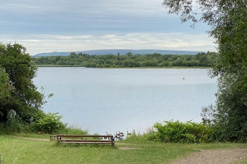 Recognised as a National Nature Reserve in 2022, more than 230 bird species including the willow tit has been recorded on site at Pennington Flash.
