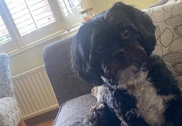 Lexi went missing from a friends house in Bryn