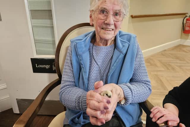 Resident Joan Mellows with one of the chicks