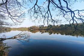 A spring morning at Worthington Lakes, Standish.