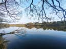 A spring morning at Worthington Lakes, Standish.