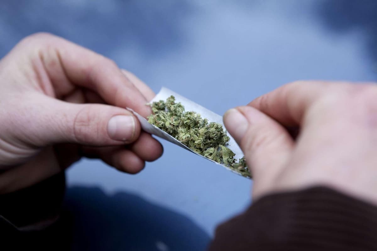 Wigan borough man accused of producing more than 300 cannabis plants