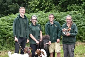 Picture by Julian Brown 20/07/19

Green Fayre at Beacon Country Park, Up Holland