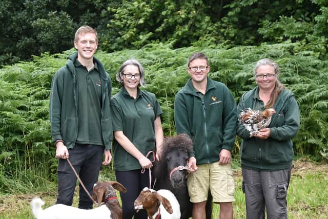 Picture by Julian Brown 20/07/19
Green Fayre at Beacon Country Park, Up Holland