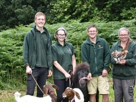 Picture by Julian Brown 20/07/19

Green Fayre at Beacon Country Park, Up Holland