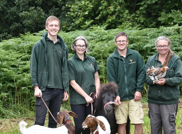 Picture by Julian Brown 20/07/19

Green Fayre at Beacon Country Park, Up Holland