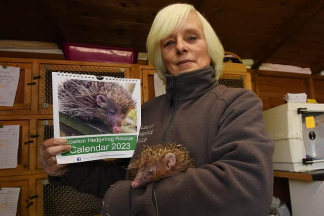 Irene Thomson, founder of Lowton Hedgehog Rescue, with the fund-raising calendar