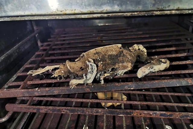 Remains of an animal in an oven at St Joseph's Roman Catholic seminary, Roby Mill
