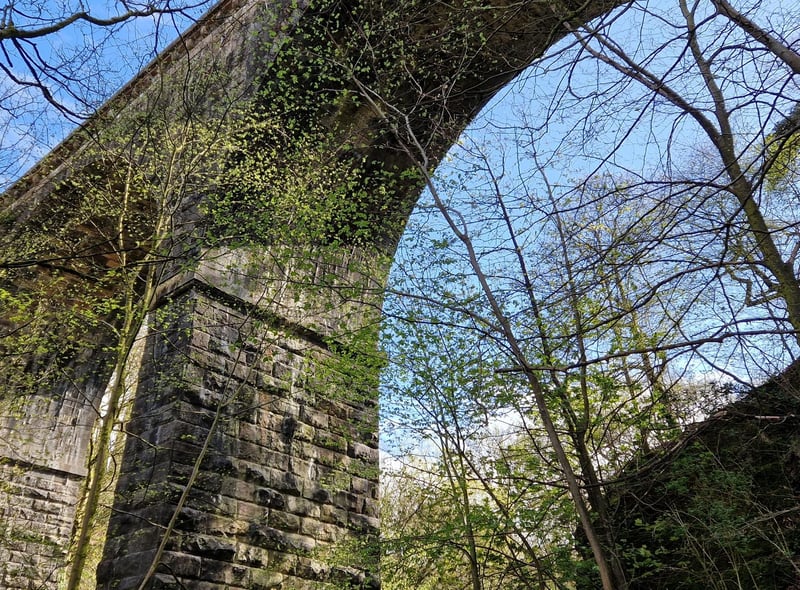 The walk continues under the impressive Hoghton Viaduct