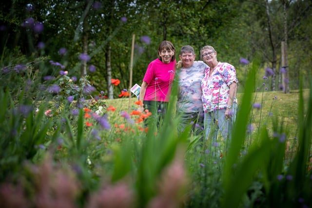 Joan Collinson, Sue Nichol and Carol Hayton admire the flowers