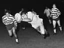 Bill Ashurst