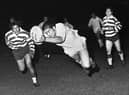 Bill Ashurst