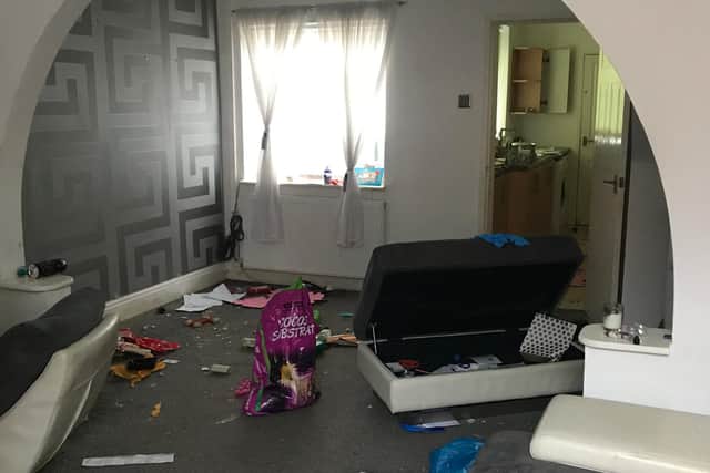 Litter including dog mess strewn all over the living room floor