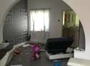 Litter including dog mess strewn all over the living room floor