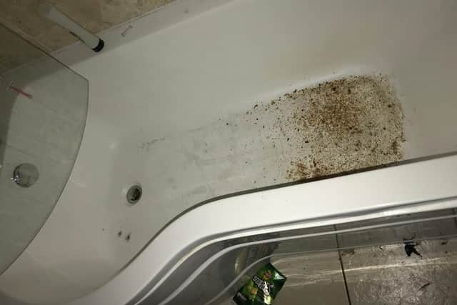Mould growing in a bath that hadn't been cleaned for years