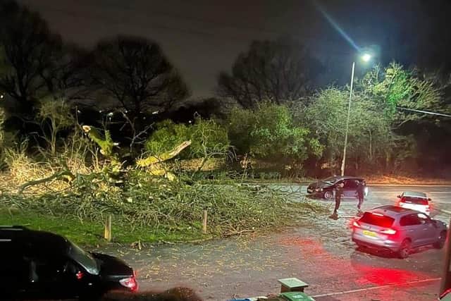 Traffic disrupted by the felled tree on Almond Brook Road, Standish