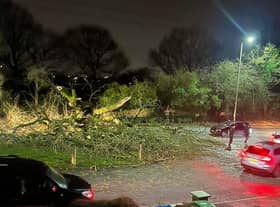 Traffic disrupted by the felled tree on Almond Brook Road, Standish